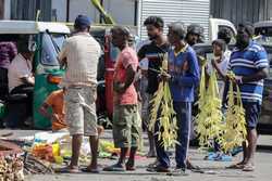 SRI LANKA TRADITION PONGAL FESTIVAL