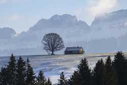 SWITZERLAND WEATHER