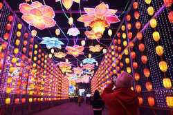 CHINASICHUANZIGONGLANTERN SHOW CN