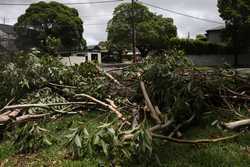 AUSTRALIA STORM