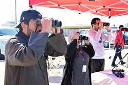 KUWAITCAPITAL GOVERNORATEBIRD COUNTING