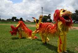 ZIMBABWEHARARECHINESE SPRING FESTIVALLION DANCEACROBATS