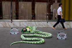 MALAYSIA PETA PROTEST