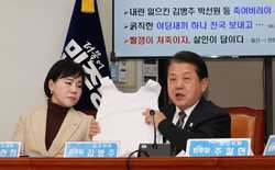 SOUTH KOREA POLITICS