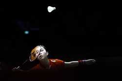 INDONESIA BADMINTON