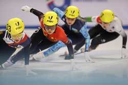 SPITALYTURINFISU TORINO 2025SHORT TRACK SPEED SKATINGMIXED TEAM RELAYFINALS