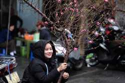 VIETNAM LUNAR NEW YEAR TET