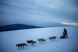 epaselect CZECH REPUBLIC PHOTO SET DOG SLED RACE