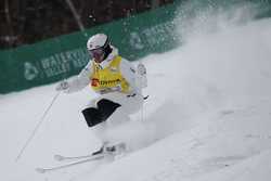 USA FREESTYLE SKIING