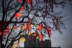 CHINA LUNAR NEW YEAR