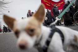 DENMARK USA PROTEST