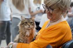 POLANDWIELICZKACAT SHOW