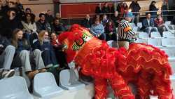 Intl ExchangeTHE NETHERLANDSTHE HAGUEICE HOCKEYLION DANCE