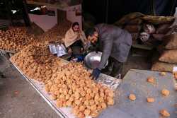 PAKISTAN AGRICULTURE JAGGERY