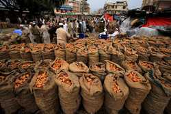 PAKISTAN AGRICULTURE JAGGERY