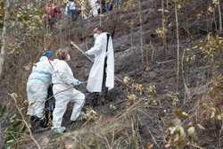 VENEZUELA ACCIDENT