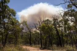 AUSTRALIA BUSHFIRES VICTORIA