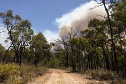 AUSTRALIA BUSHFIRES VICTORIA