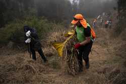 CHILE FIRES