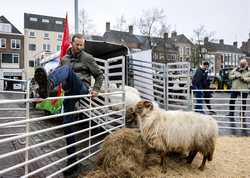 NETHERLANDS FARMERS PROTEST