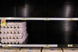 USA EGG SHORTAGE