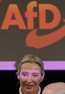 GERMANY ELECTIONS AFD