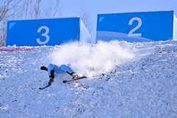 SPCHINAHARBINASIAN WINTER GAMESFREESTYLE SKIINGMIXED TEAM AERIALSCN