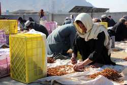 AFGHANISTAN DRIED FRUITS