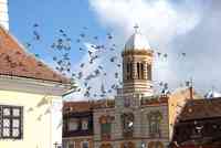 BRASOV - PIATA SFATULUI