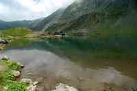 BALEA LAC