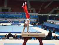 SOFIA - CAMPIONATE EUROPENE - GIMNASTICA ARTISTICA MASCULINA