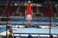 SOFIA - CAMPIONATE EUROPENE - GIMNASTICA ARTISTICA MASCULINA