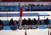 SOFIA - CAMPIONATE EUROPENE - GIMNASTICA ARTISTICA MASCULINA