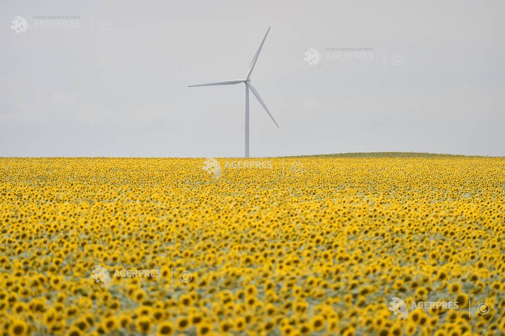 Imagine din galeria Agerpres
