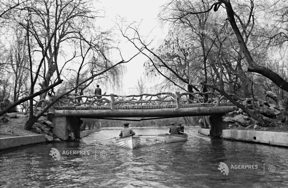 PARCUL CISMIGIU - 1954