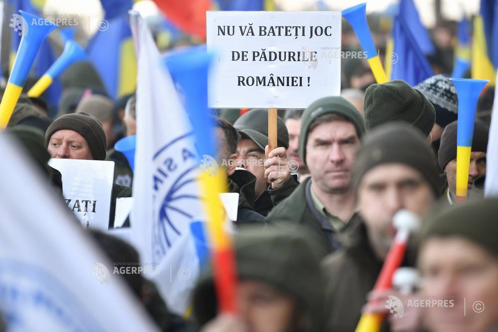 BUCURESTI - MITING - FEDERATIA SINDICATELOR DIN SILVICULTURA SILVA