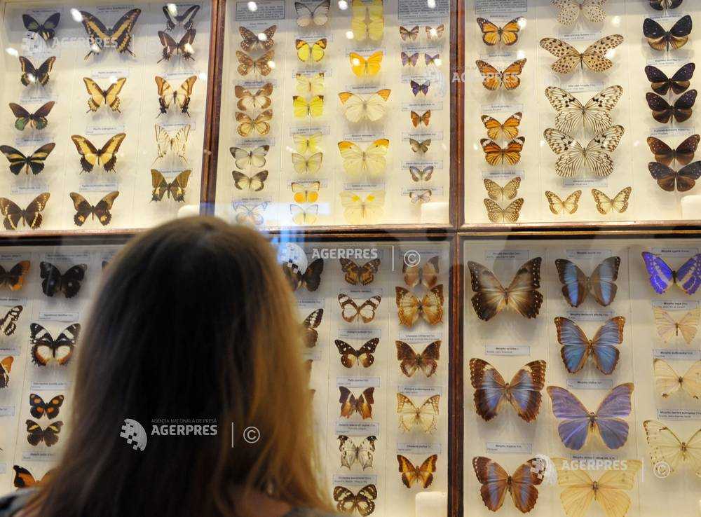 Imagine din galeria Agerpres