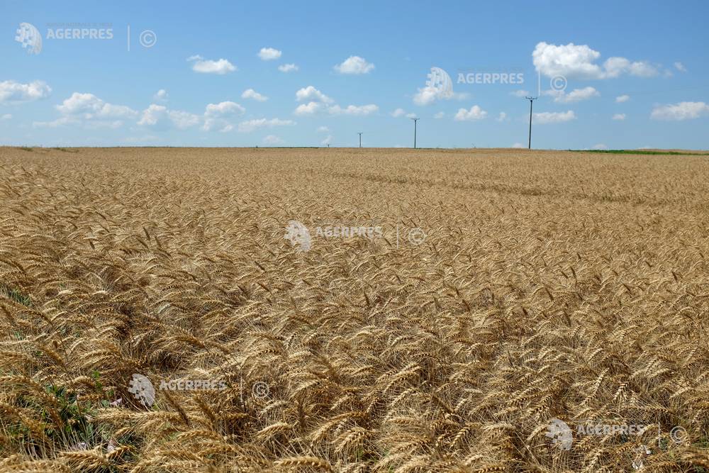 Imagine din galeria Agerpres